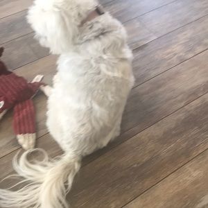 Meet your Posher, Chloe